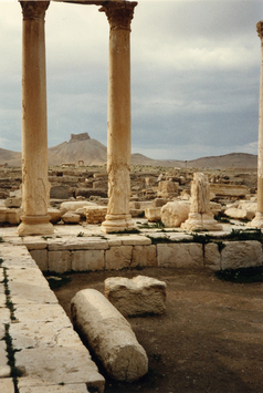 preview Palmyra, Blick von Diokletiansthermen zur arabischen Burg